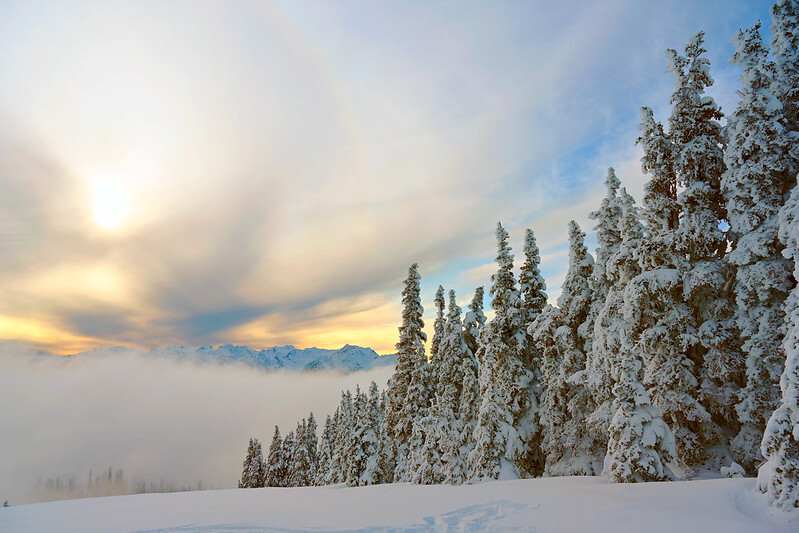 Hurricane Ridge, Olympic National Park