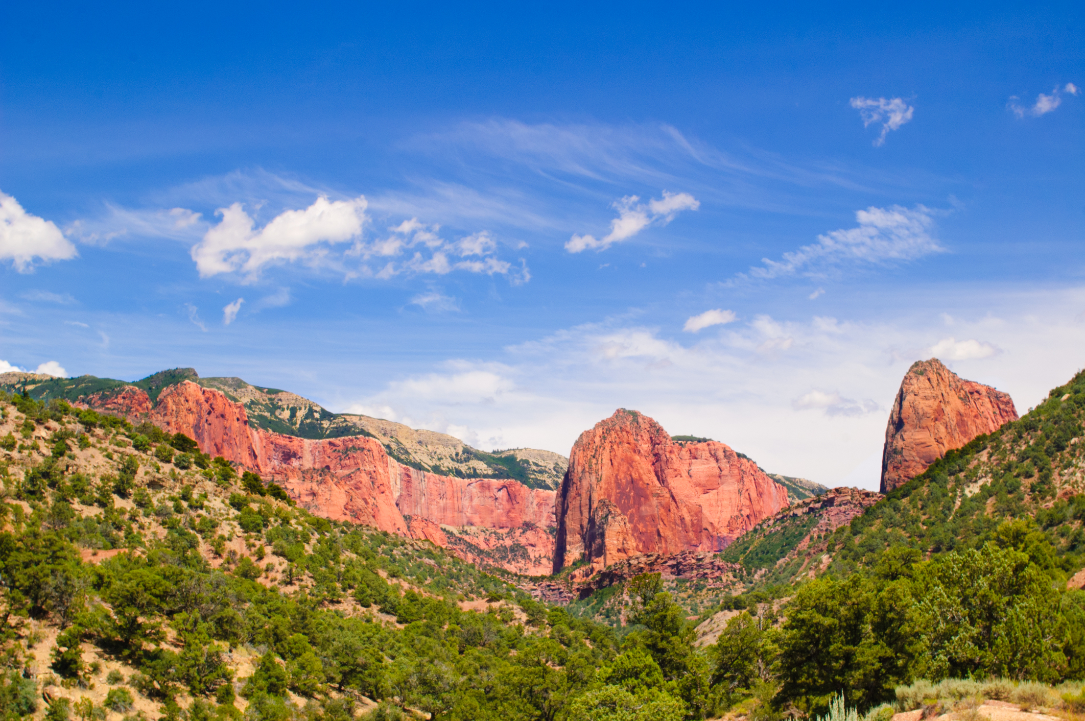 Looking up at red rocks and tree line of canyon