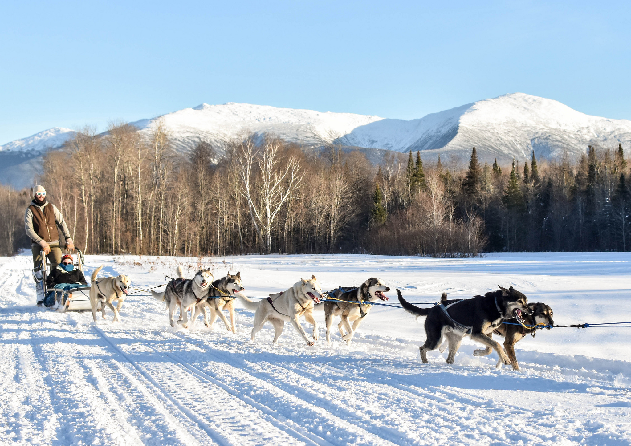 New-Hampshire-Winter-Dog-Sledding-2.jpg?mtime=20181212205527#asset:104053