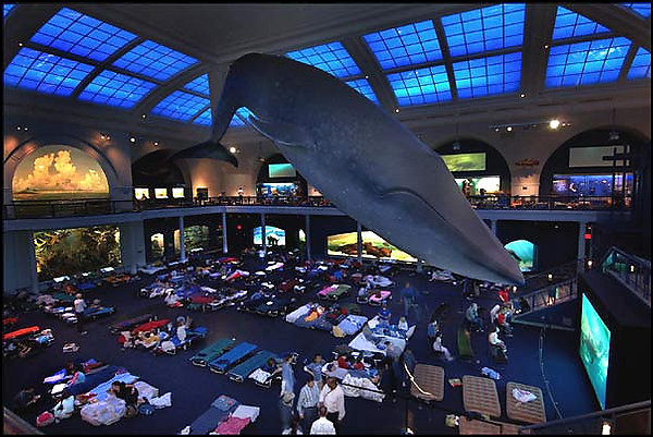 07015_nightatmuseum