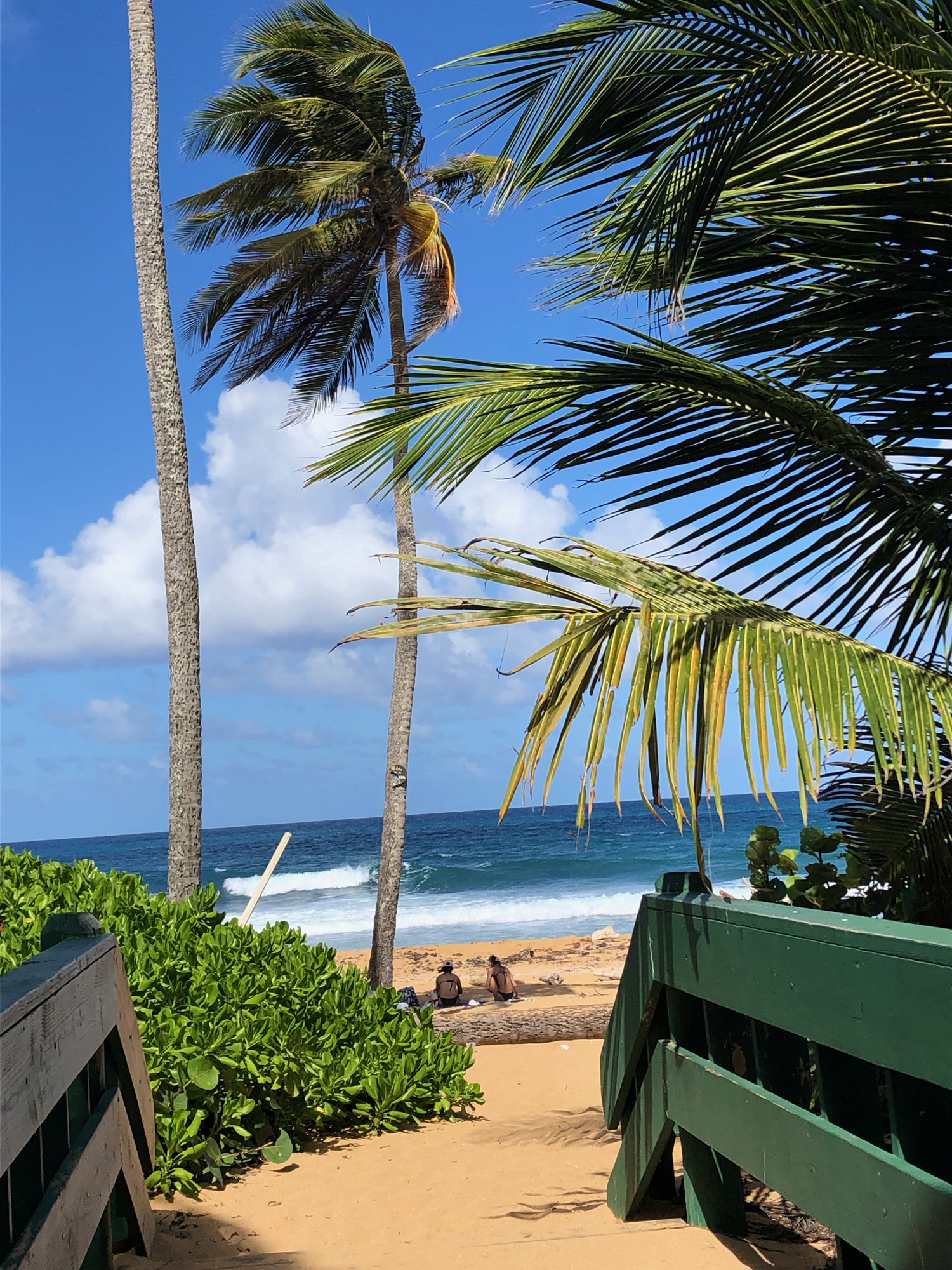 Puerto-Rico-Kiosk-beach-walkway.jpg?mtime=20190310123454#asset:105128