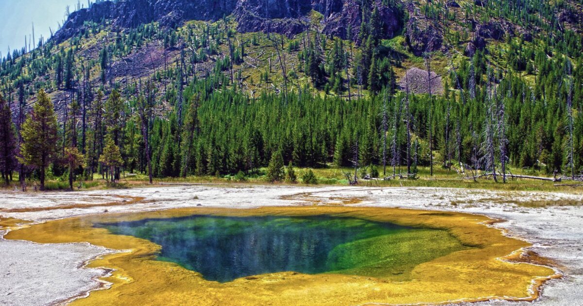 Budget Travel 10 insider tips for visiting Yellowstone