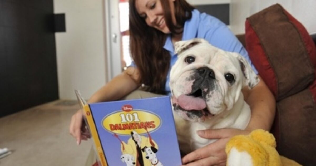 Budget Travel Pet Travel News A handy app, a Disney resort, and…