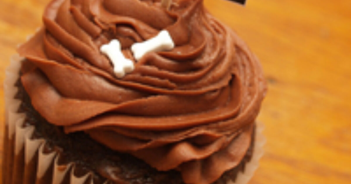 Budget Travel Busted for Bringing Cupcakes and Bagels Through TSA…