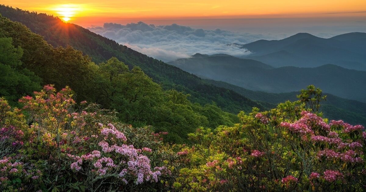 Budget Travel Travel Deal North Carolina Black Mountain