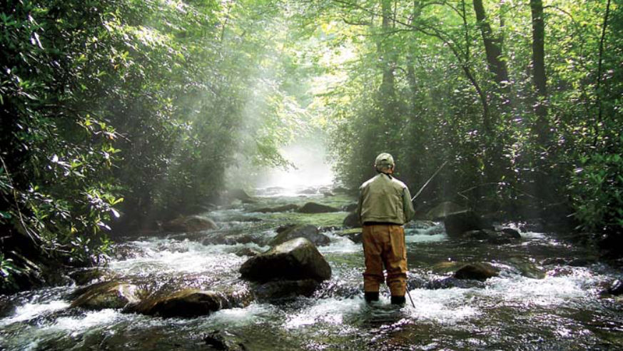 Casting for Trout