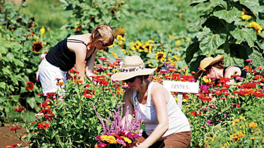 1105_FoodRegions_Portland_Sauvie_vert