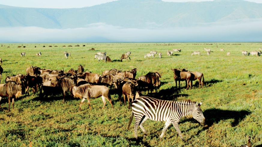 1106_FieldTrips_NgorongoroCrater_horiz