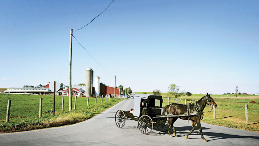 Harvest Road