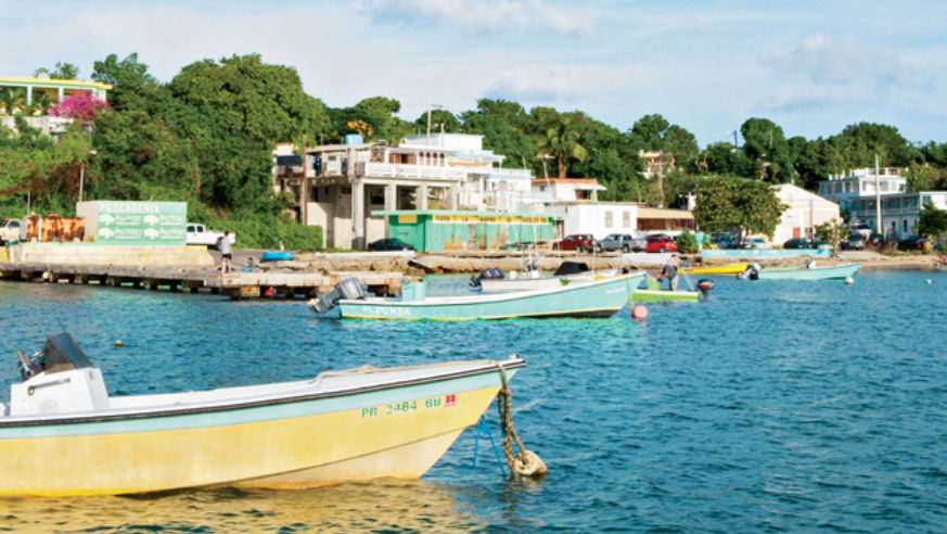 1112_Caribbean_BoatsOffHarbor