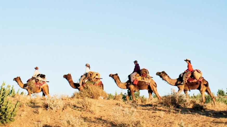 Camel trek in India's Thar Desert
