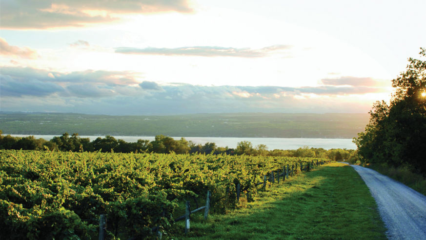 1207_Wineries_FingerLakes