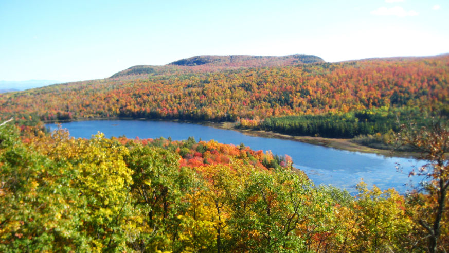 Adirondack Glamping