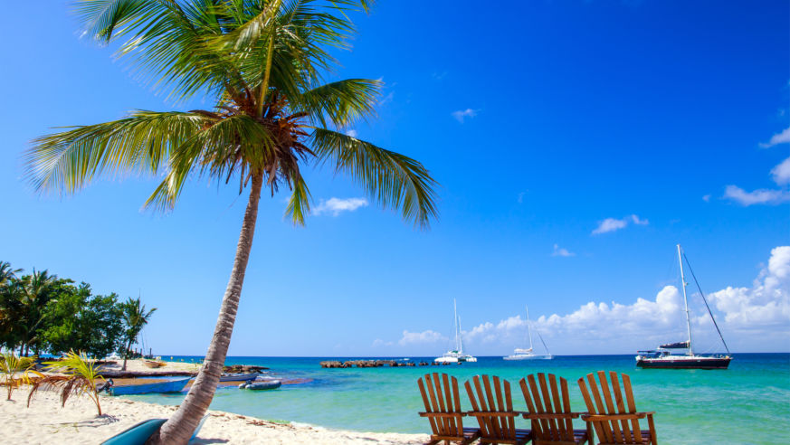 Palm Tree chairs beach