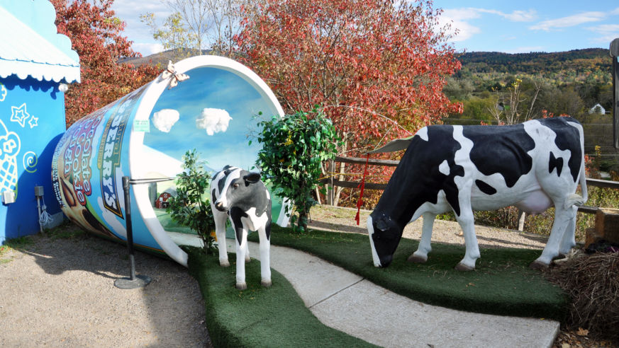 Statue of cows coming out of Ben and Jerry's Ice Cream