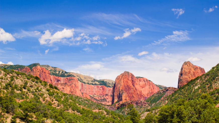 Looking up at red rocks and tree line of canyon