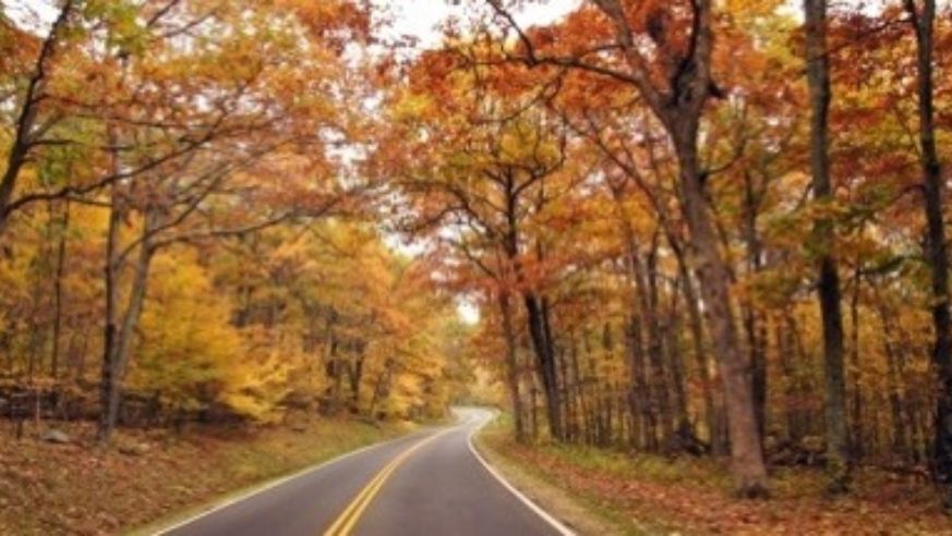 Fall foliage drive