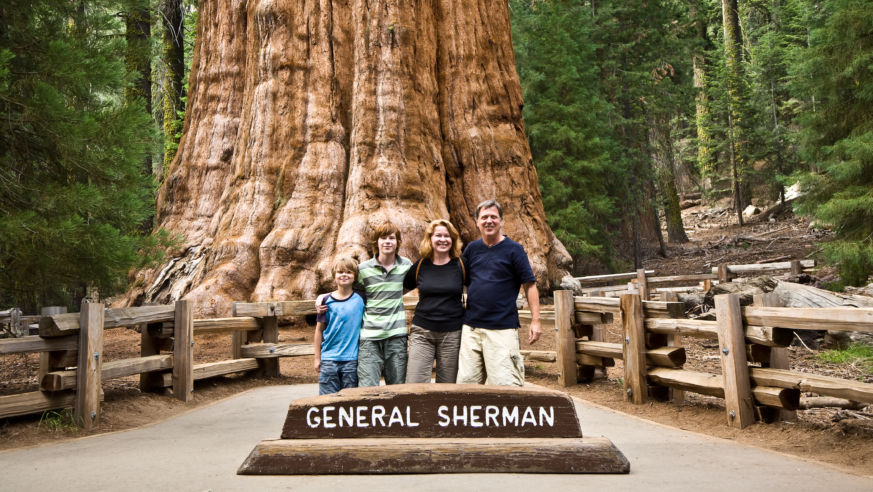 Family Sequoia National Park