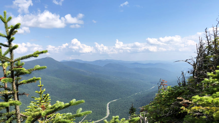 view of treetops of mountain range