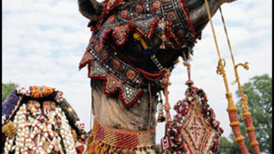 0511_pushkar
