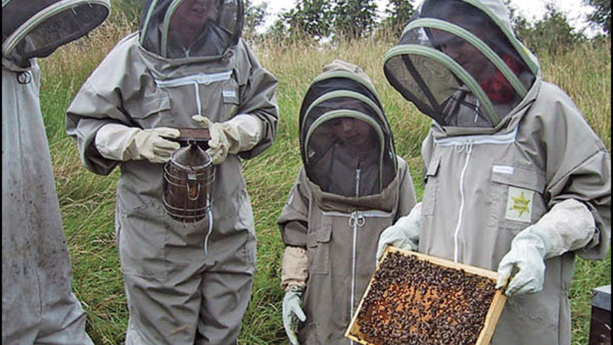 0605_where_beekeepers