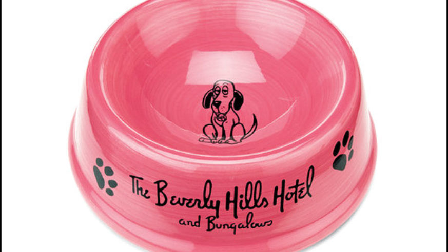 0606_splurge_dogbowl