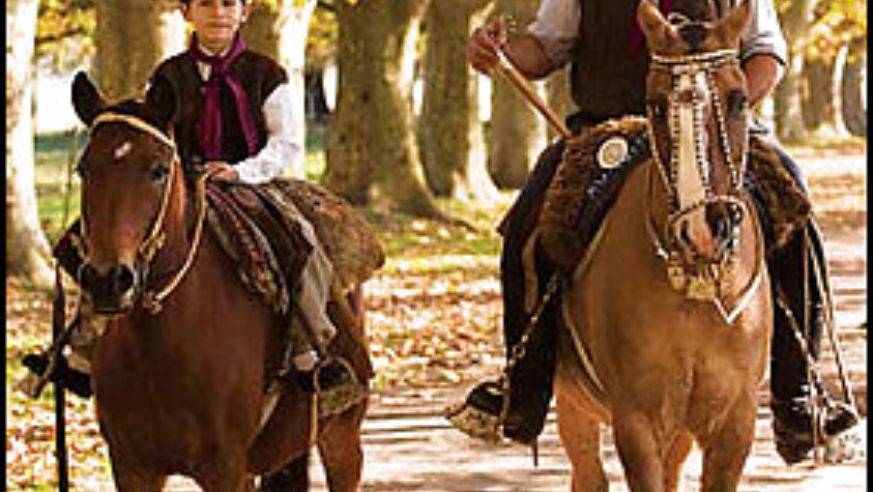 0611_ba_1cowboy