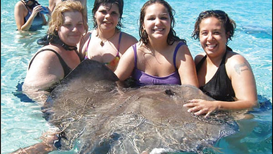0702_tc_stingray