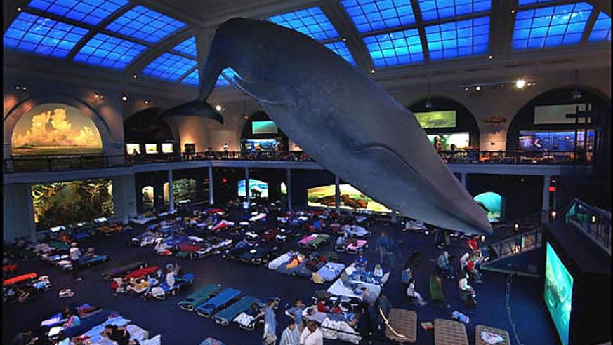 07015_nightatmuseum