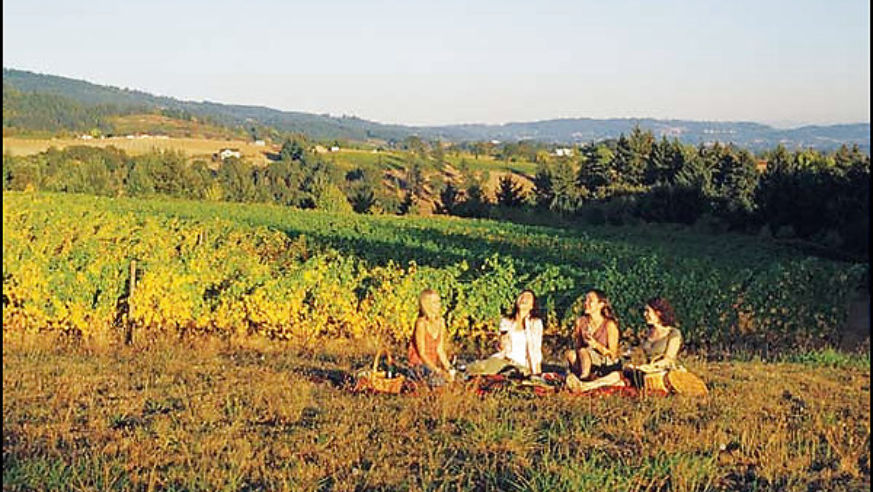 0705_gg_winecountry