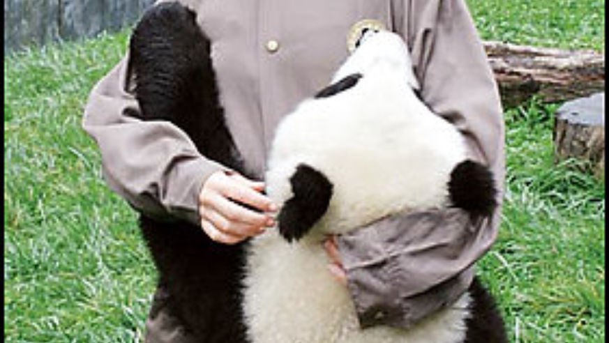 0707_pandas