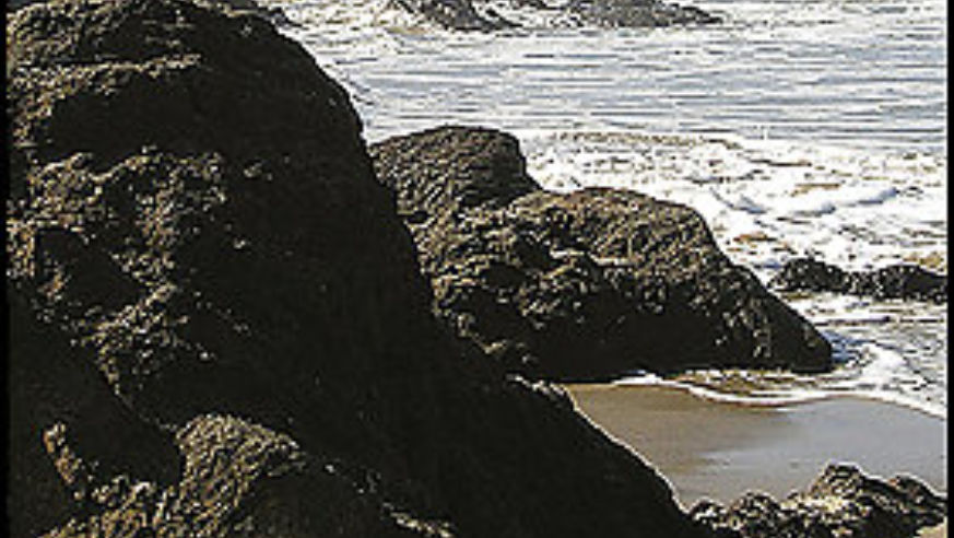 0709_rtyachats