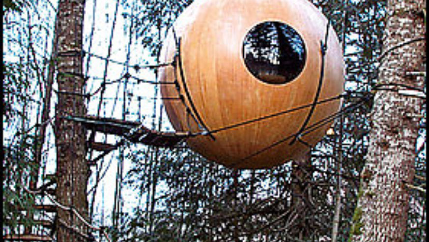 0806_treehouse