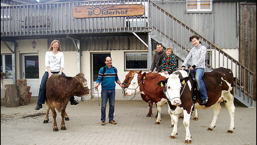 0811_cowtripping