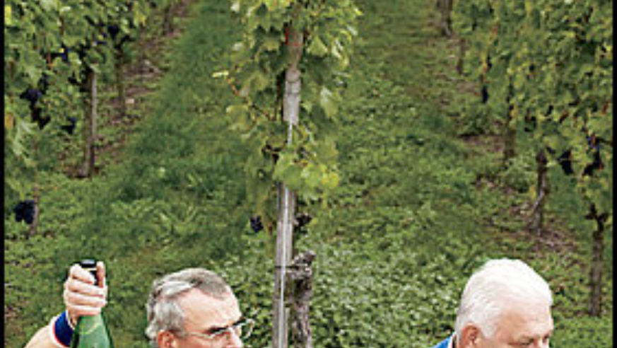 Jupiter Wine Cellar