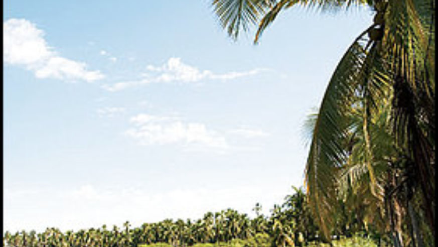 1002_piedelacuestamexico