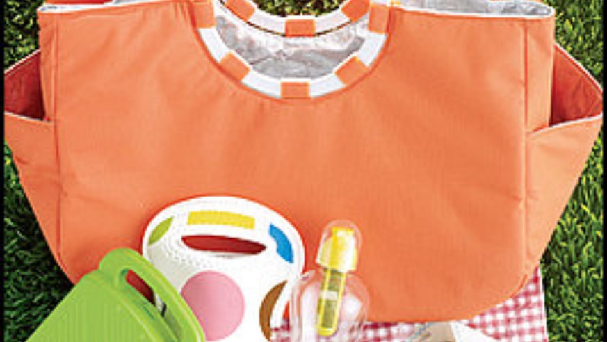 1006_travelingpicnic