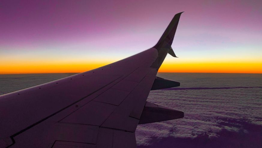 Plane flies at sunset