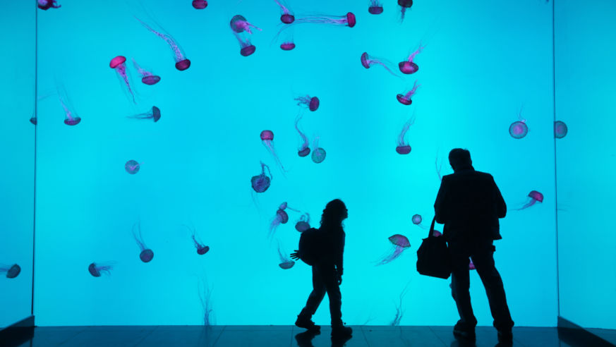Ripley's Aquarium of Canada—Planet Jellies