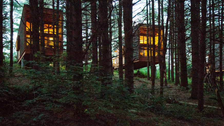 Whitetail Cabin Rental Plans Matter