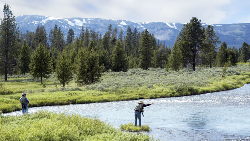 Fly fishing River