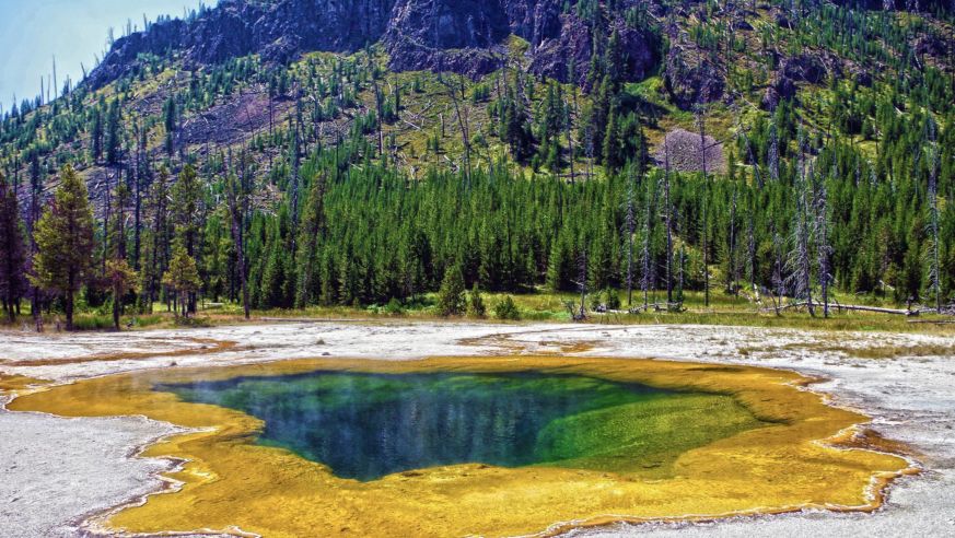 Yellowstone