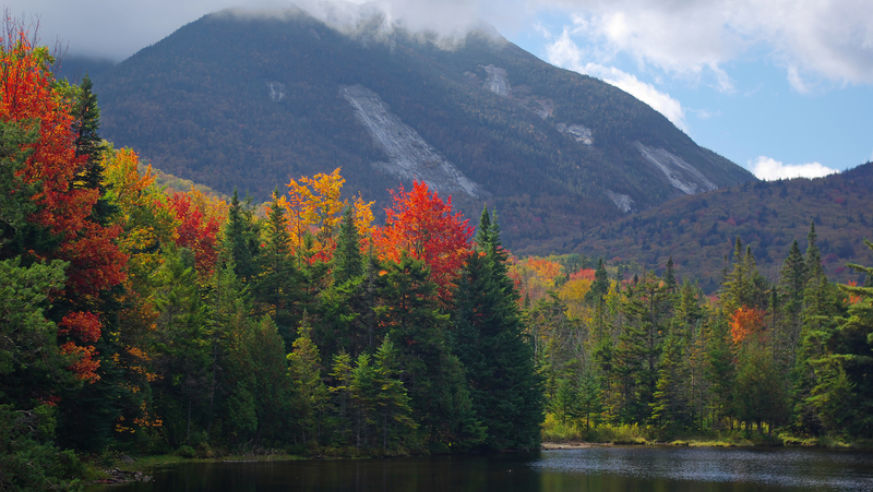 A view of a lake, bright fall colors, and the Adirondack Mountains