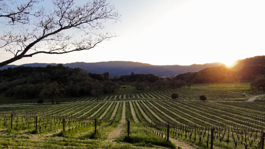 Before-Kids_Napa-Valley_sunset