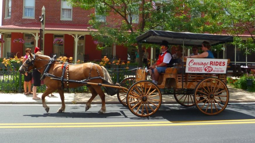 horse and buggy
