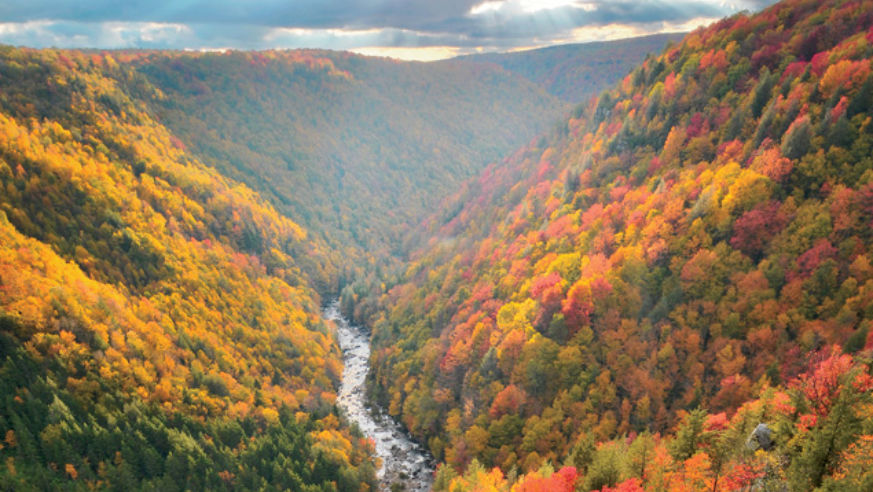 Valley and River at Blackwater Falls State Park West Virginia