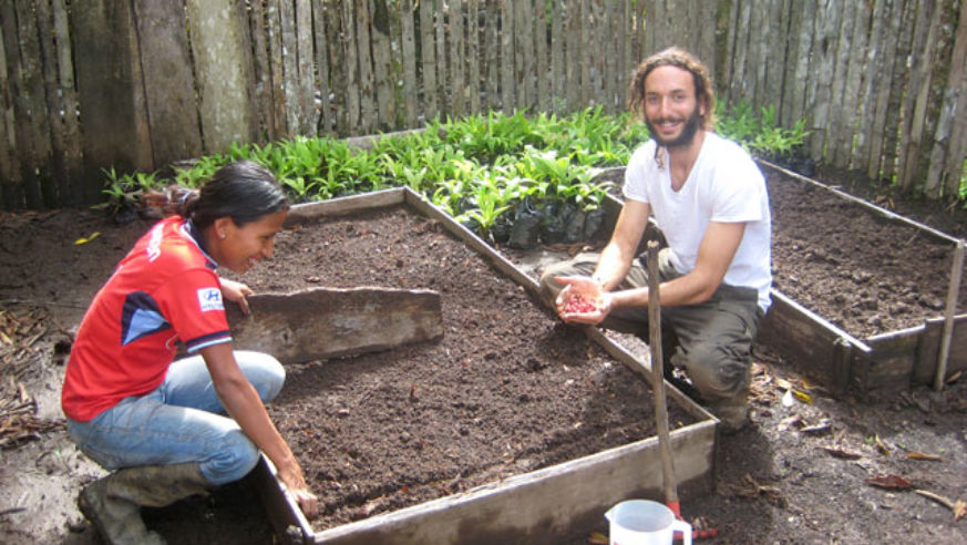 blog_090720_blog_wwoof_original.jpg