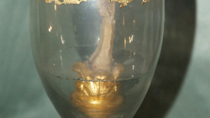 blog_091123_galileofinger_popup_original.jpg