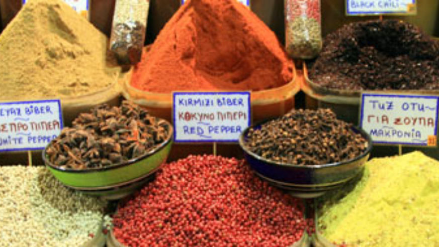 blog_091209_readersfood_pano_original.jpg