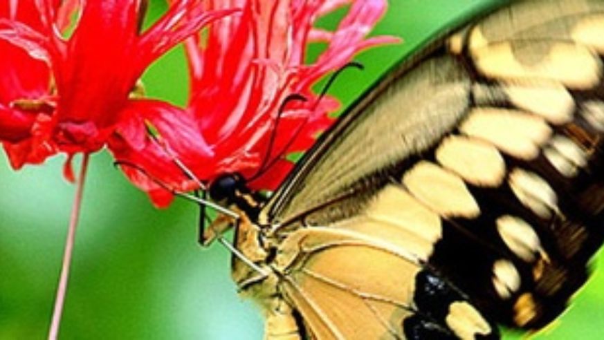 blog_100107_readerswildlife_pano_original.jpg
